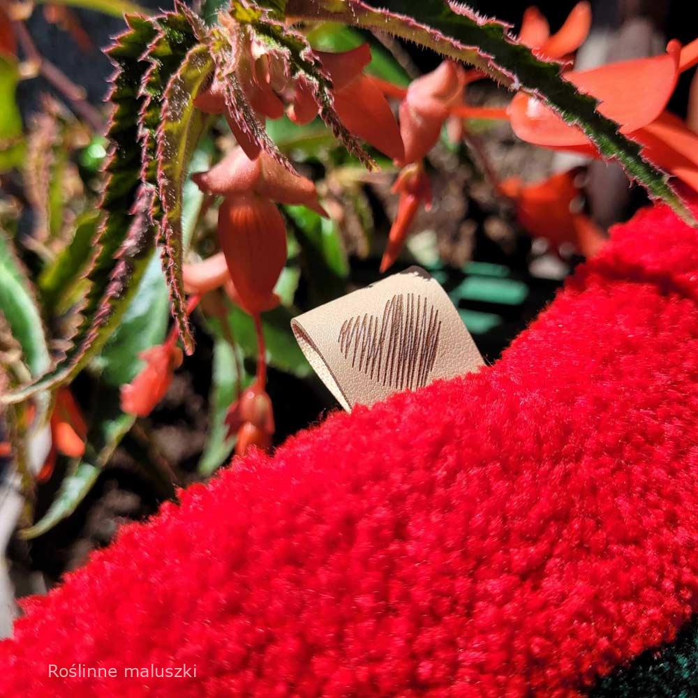 Dywan Begonia – tufting