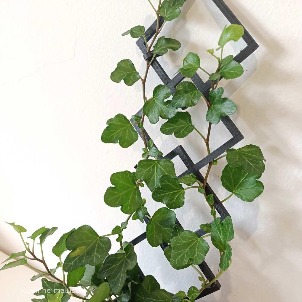 Podpórka do roślin Rombo