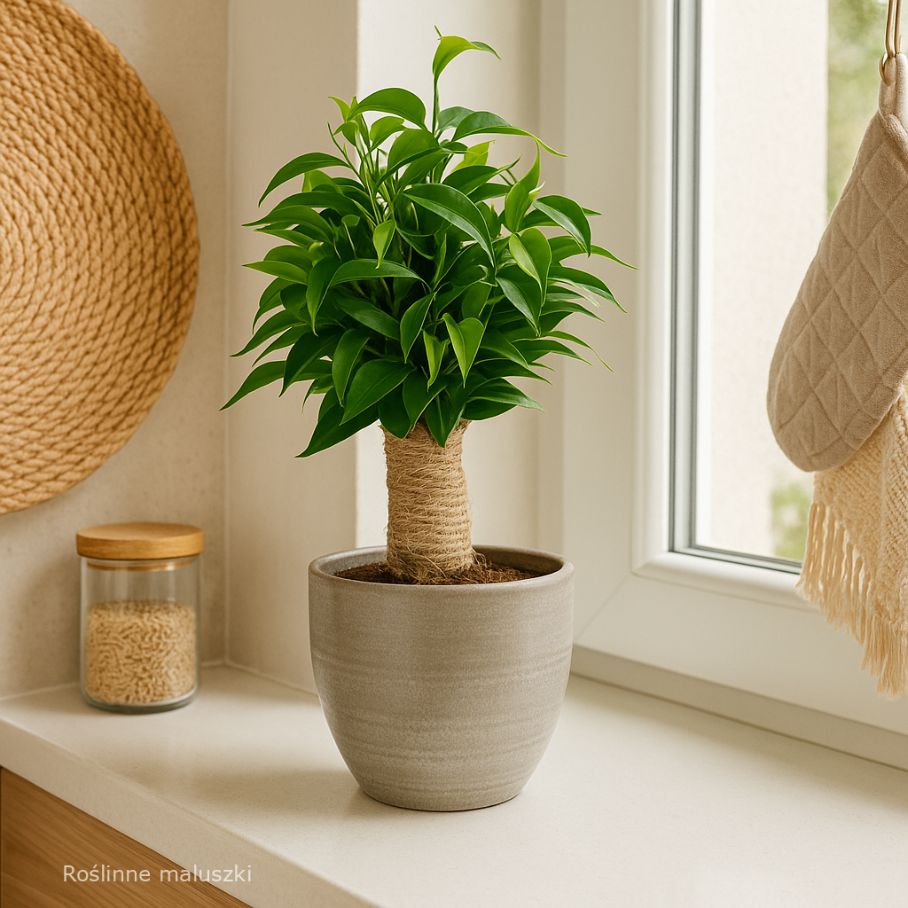 Osłonka ceramiczna na doniczkę Ø 12cm.