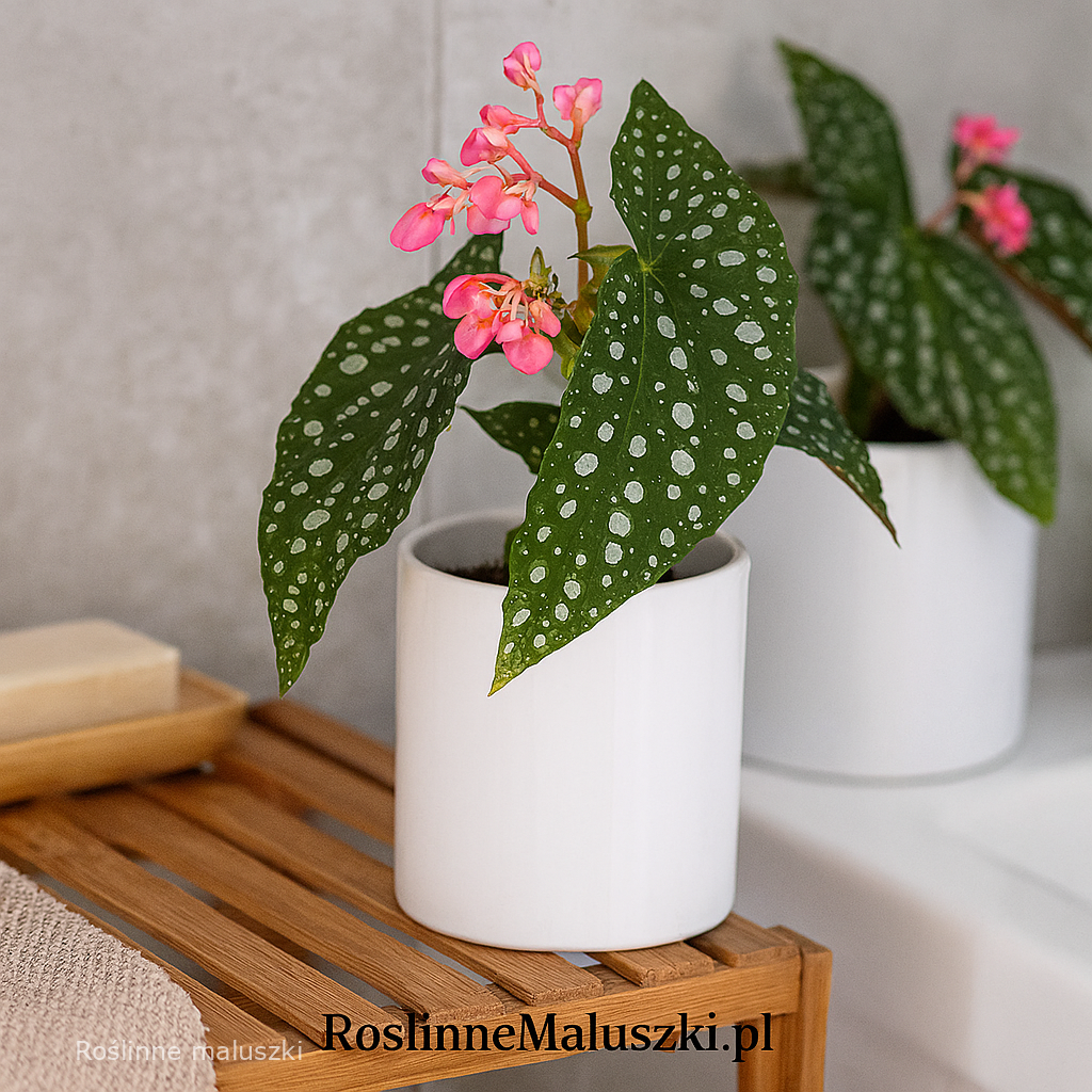 Osłonka ceramiczna na doniczkę Ø 12cm.