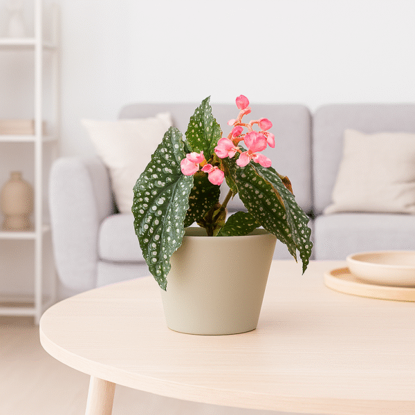 Osłonka ceramiczna na doniczkę Ø 11cm.