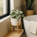 Scindapsus Silver Lady