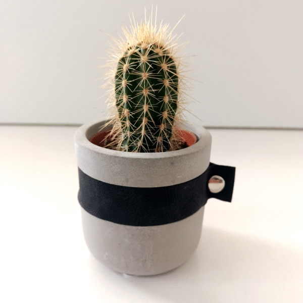 Osłonka szara Ø 5,5cm.