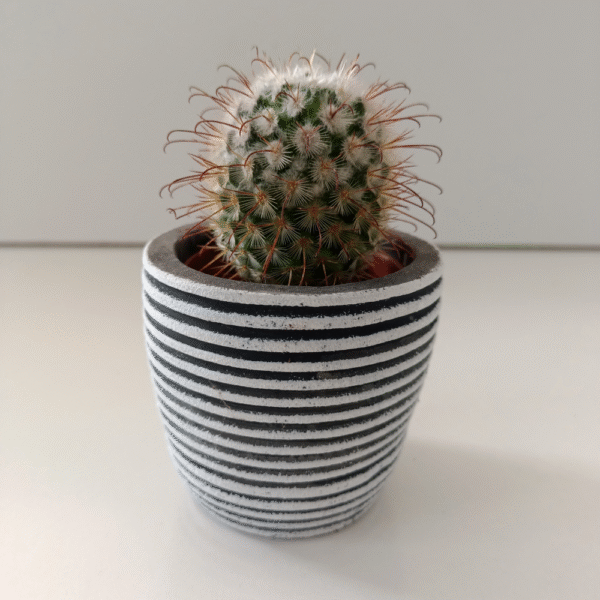 Osłonka cementowa Ø 5,5cm.