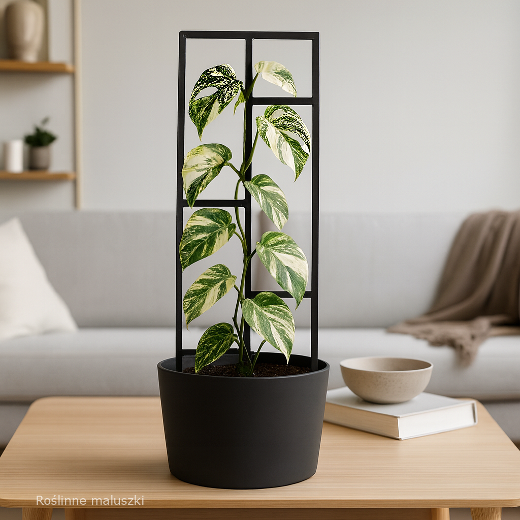 Podpórka do roślin Vista M/L/XL