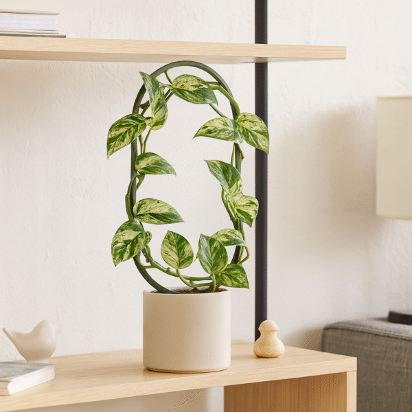 Podpórka OVO M/L/XL Podpórka OVO M/L/XL