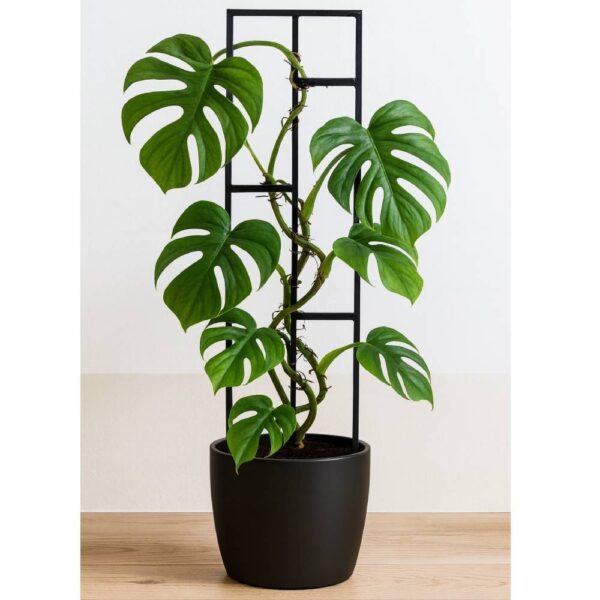 Podpórka do roślin Vista M/L/XL