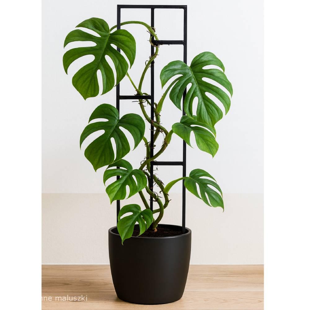 Podpórka do roślin Vista M/L/XL