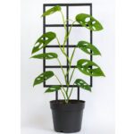 Podpórka do roślin Matrix M/L/XL