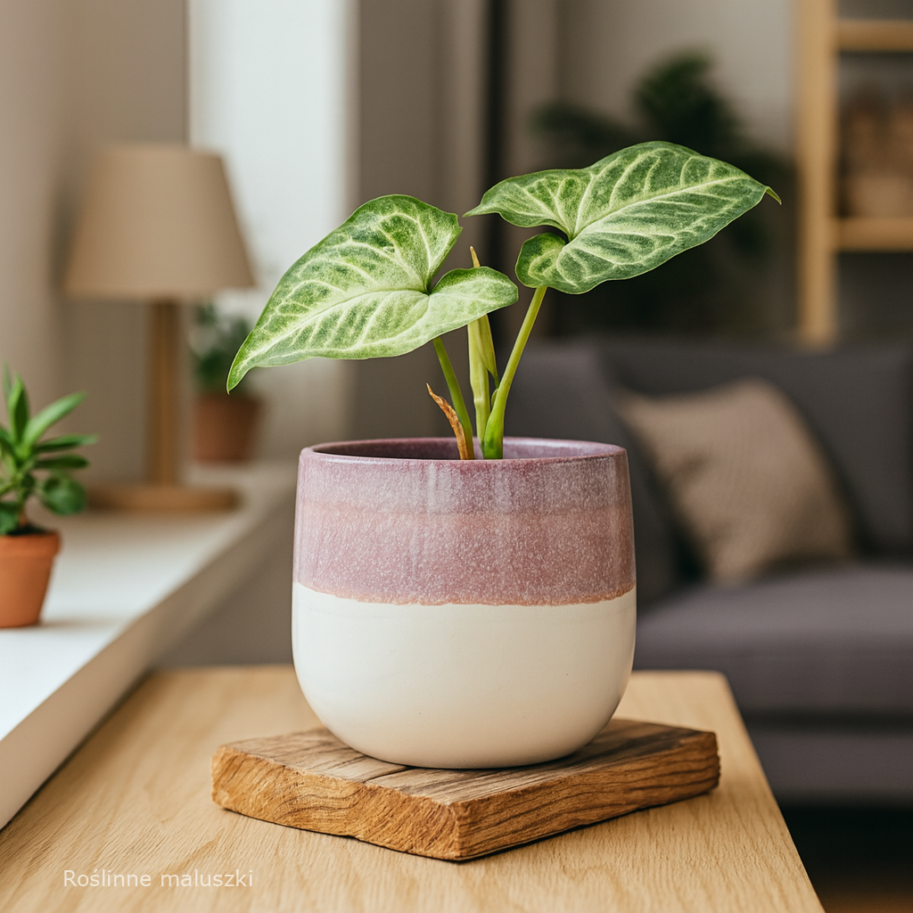 Osłonka ceramiczna Ø 10cm.