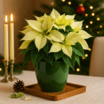 Osłonka zielona Ø 12cm.