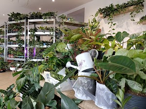 Roślinne Maluszki place picture