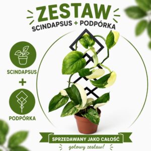 Jade Satin + podpora