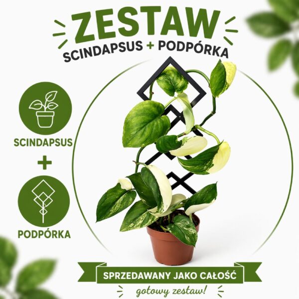 Jade Satin + podpora