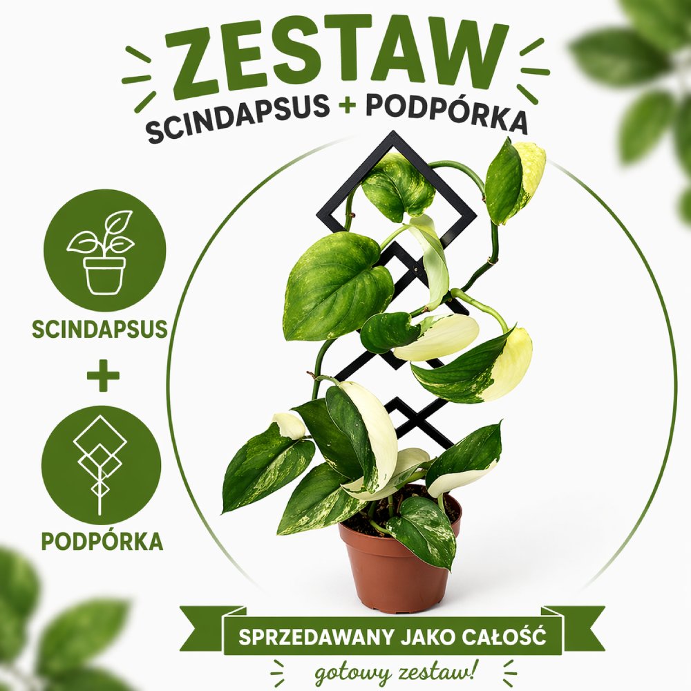 Jade Satin + podpora